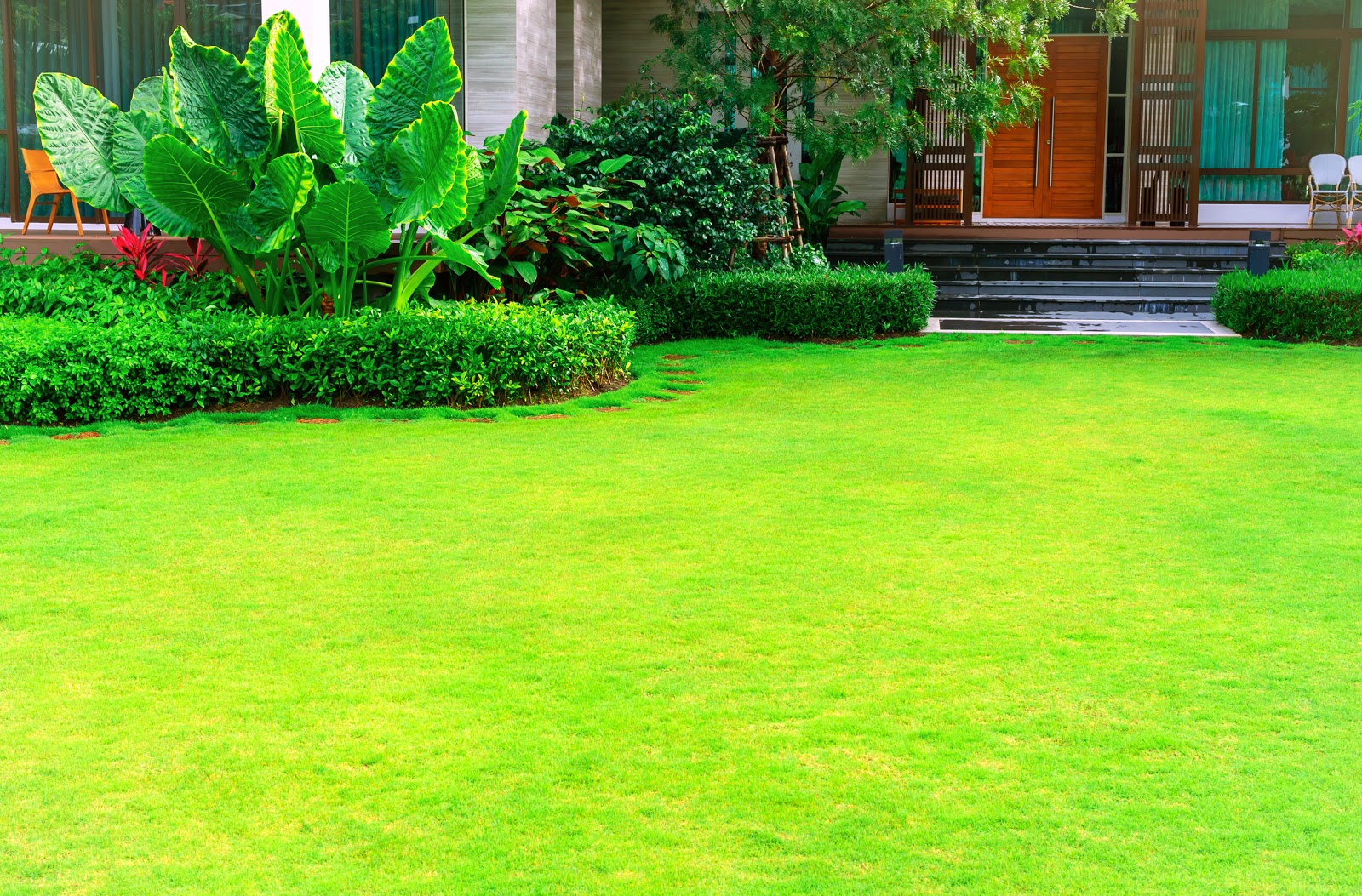 A Lively Lawn: Sprucing Up Your Yard!